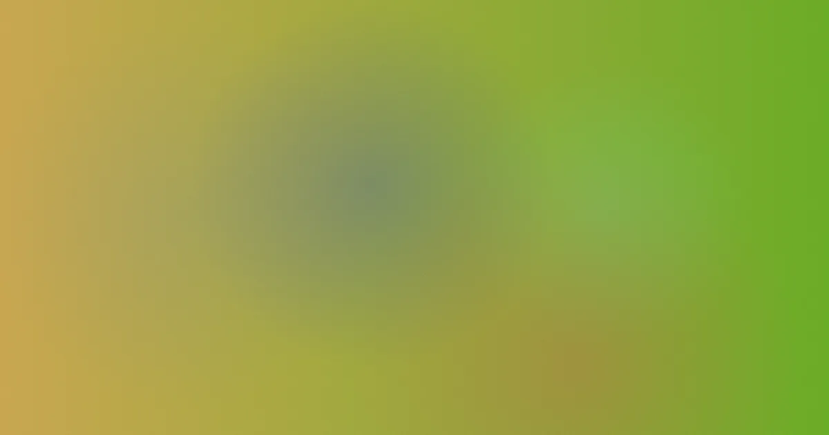 马丁推荐：新手选第一把Martin指南